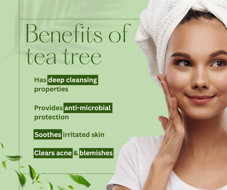 Tea Tree Face Wash Benefits 